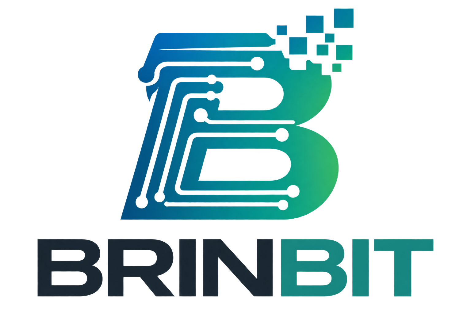 BRINBIT brand identity example